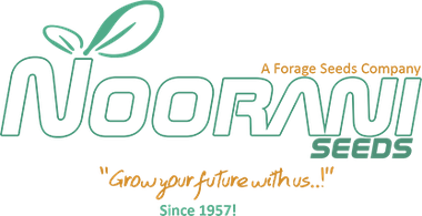 Noorani Seeds